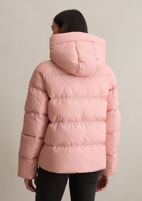 Puffer jacket with hood regular — Rose Powder