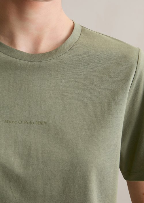 DfC T-Shirt regular — Desert Sage