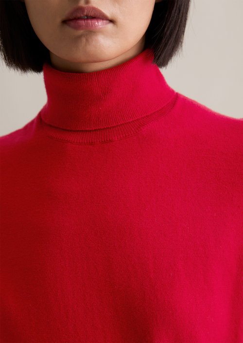 Regular turtleneck sweater — Red Mulberry