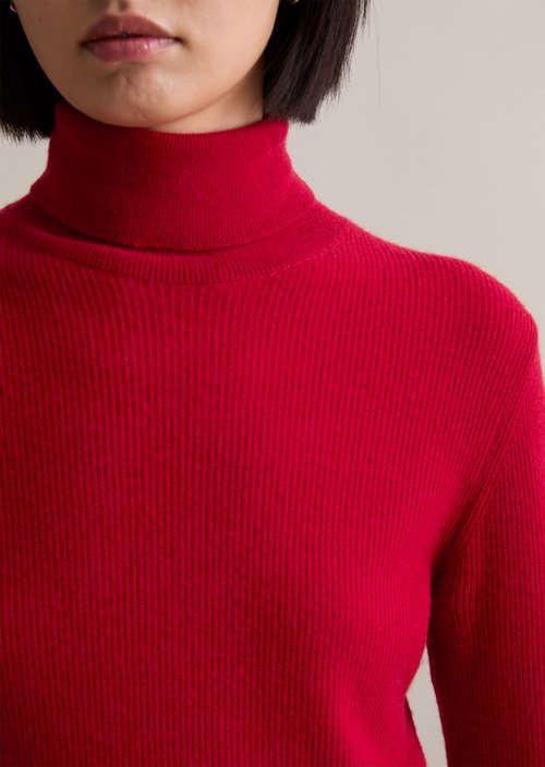 Turtleneck sweater slim — Red Mulberry