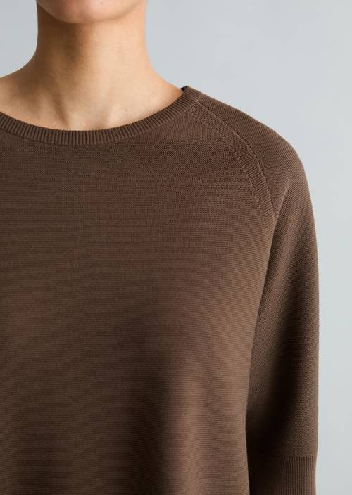 DfC Pullover relaxed Hazelnut Brown in Detailansicht
