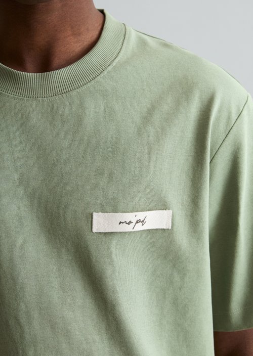 DfC T-Shirt relaxed — Tea Green
