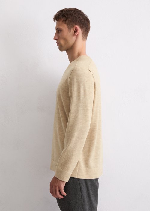 Sweater regular — Pure Cashmere