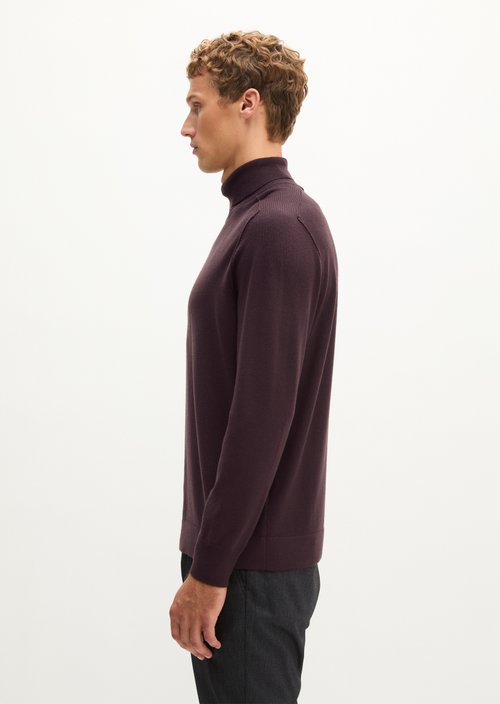 Regular turtleneck sweater — Deep Mullberry
