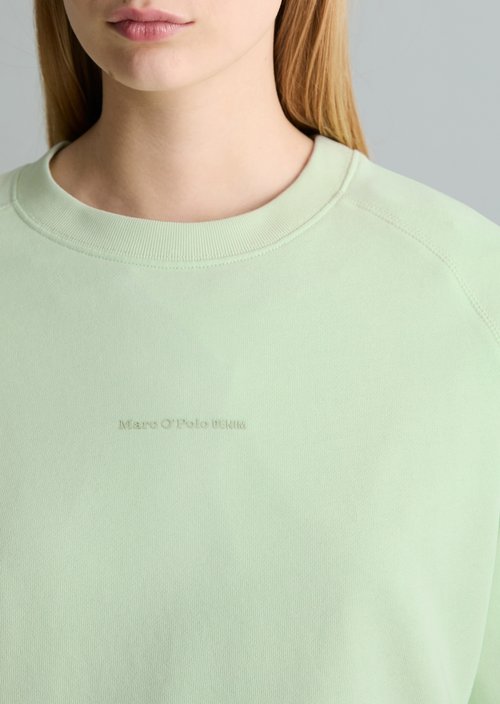 DfC Sweatshirt relaxed — Mint Mist