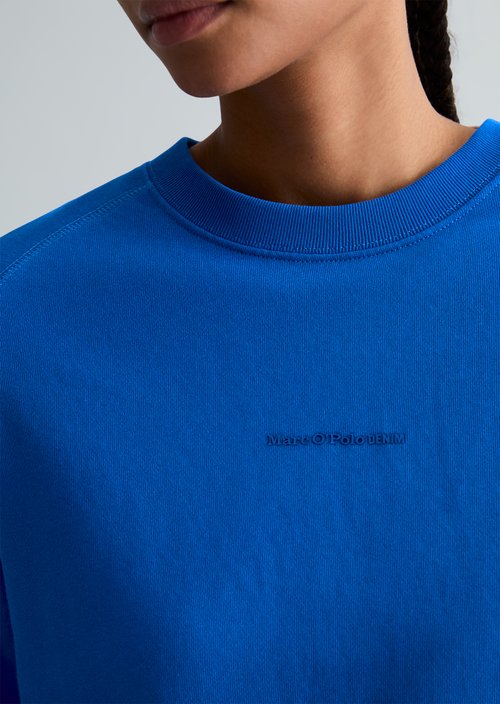 DfC Sweatshirt relaxed — Pale Cobalt