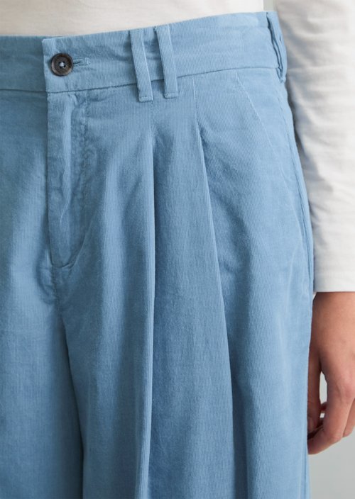Wide-Leg Pleated Corduroy Pants — Fall Sky
