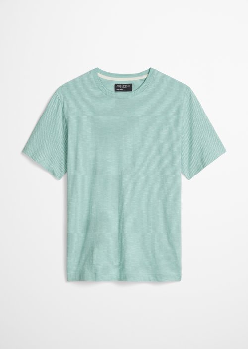 DfC T-Shirt regular — Light Green