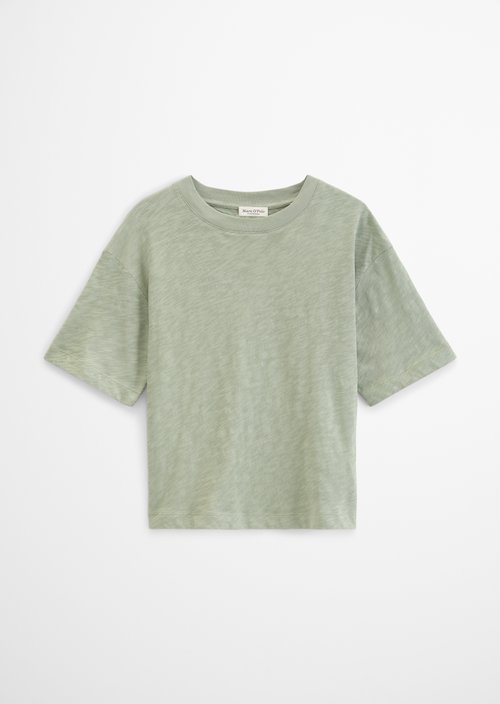 DfC T-Shirt regular — Fresh Sage