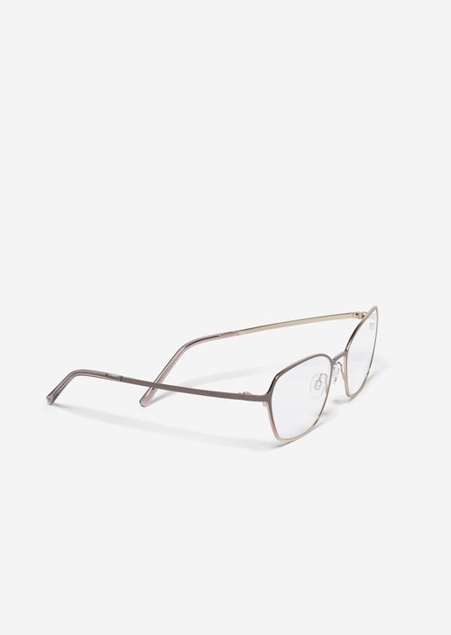 Ladies' glasses — brauntöne