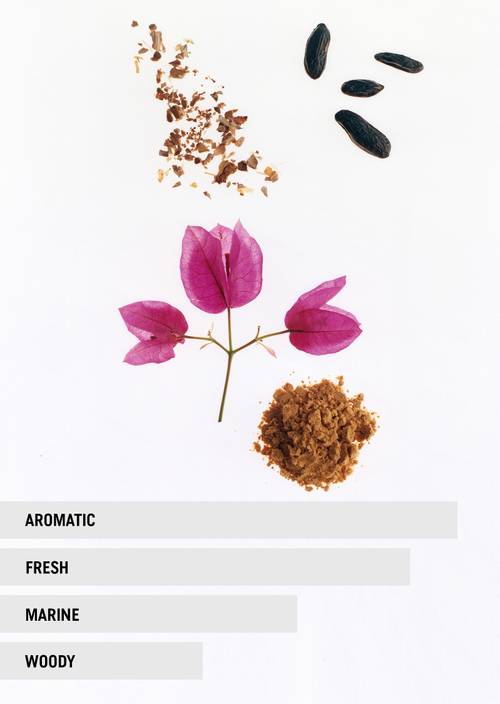 Eau de Parfum SKY Unisex Sky - Produkt Bild 2