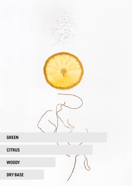 Eau de Parfum RAIN Unisex Rain - Produkt Bild 2