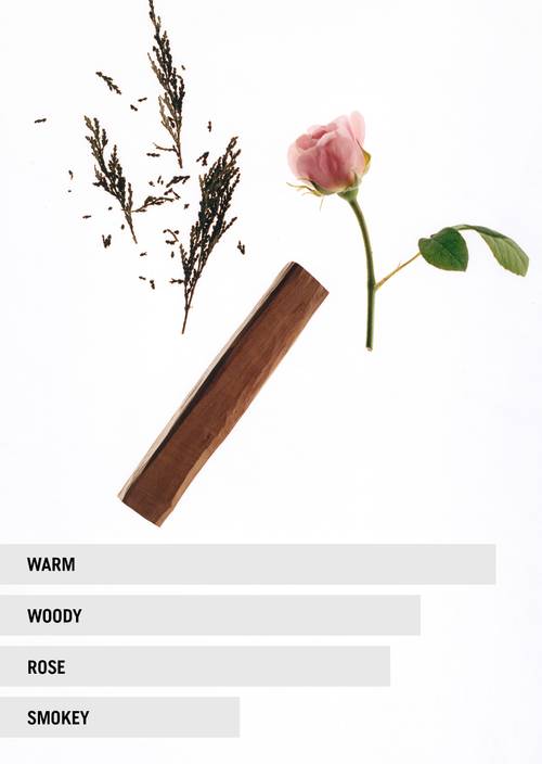 Eau de Parfum EARTH Unisex Earth - Produkt Bild 2