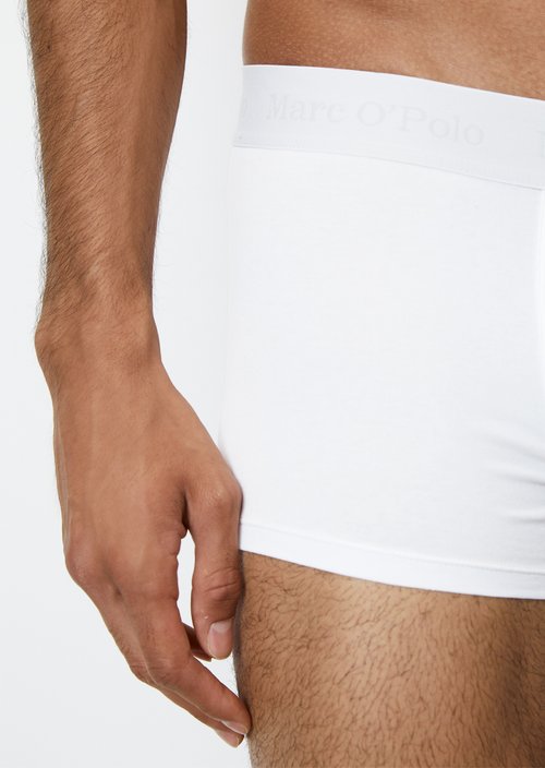 Trunk — White