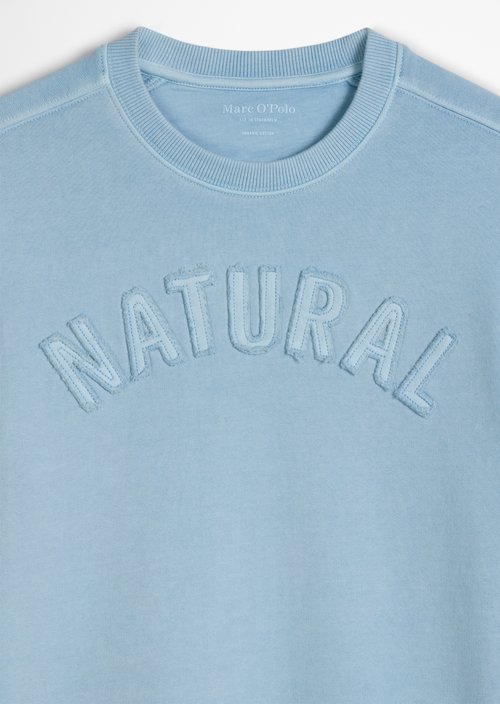 TEENS-BOYS sweatshirt — Blue