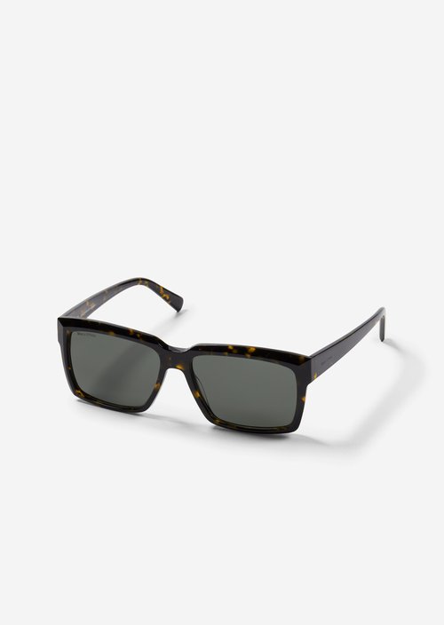 Men's sunglasses — Brown