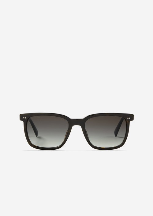 Men's sunglasses — Brown