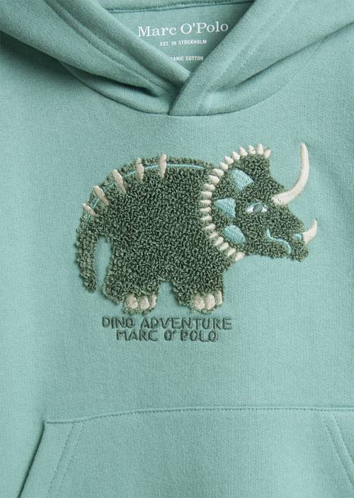 ‎Sweat à capuche KIDS - GARÇONS Green en vue détaillée