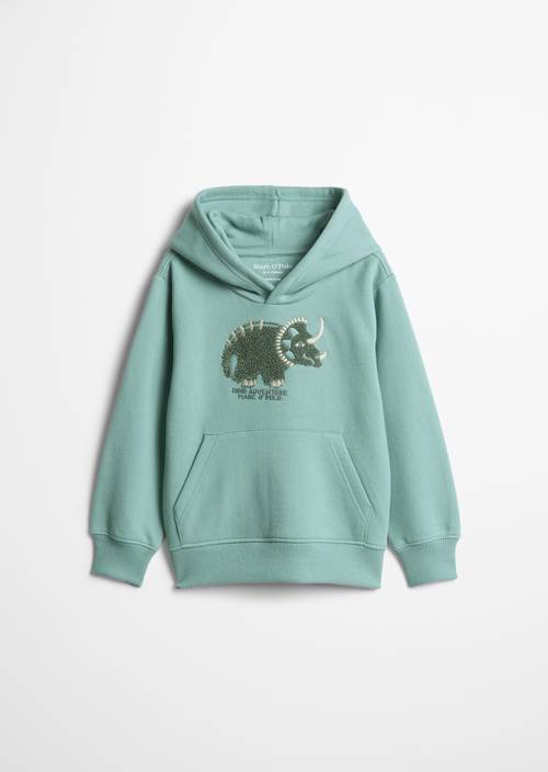 ‎Sweat à capuche KIDS - GARÇONS Green en vue de face