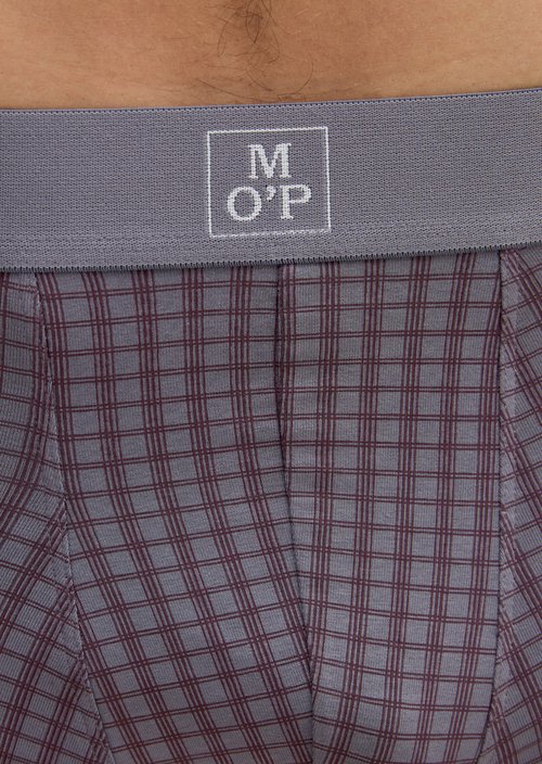 Trunk — Blue Print/Blue Stripe
