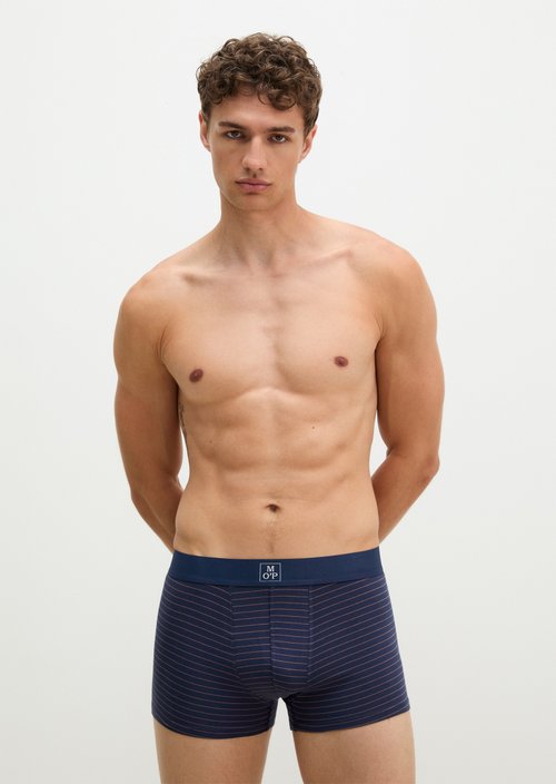 Trunk — Black Iris Stripe/Black Iris 1