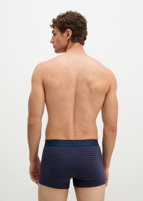 Trunk — Black Iris Stripe/Black Iris 1