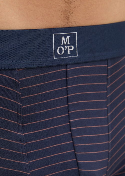 Trunk — Black Iris Stripe/Black Iris 1