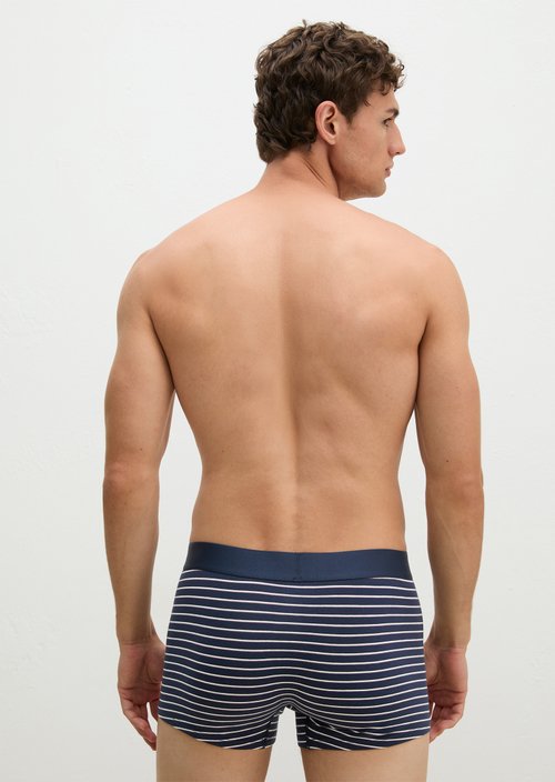 Trunk — black iris stripe/black iris