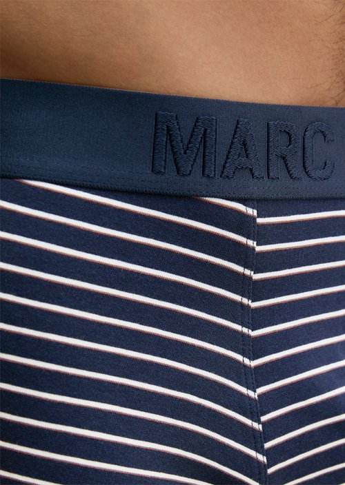 Trunk — black iris stripe/black iris