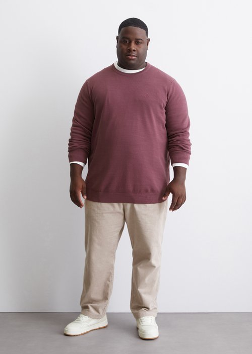 Sweater regular — M669